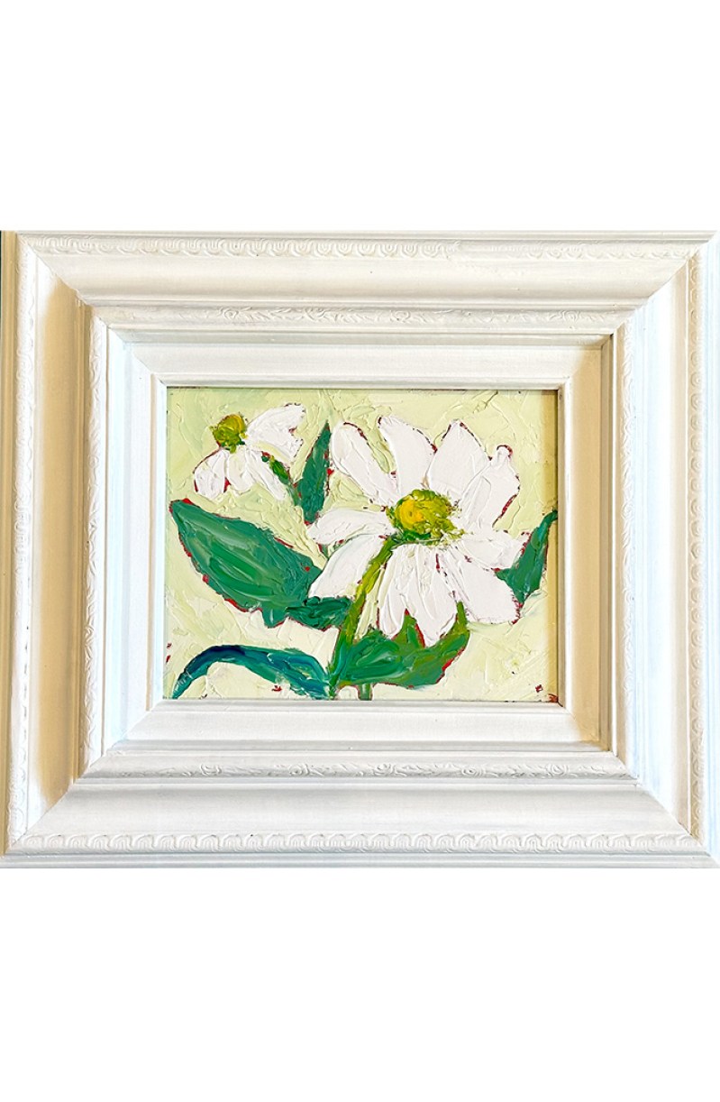 Daisy Dreams on a Spring Breeze site